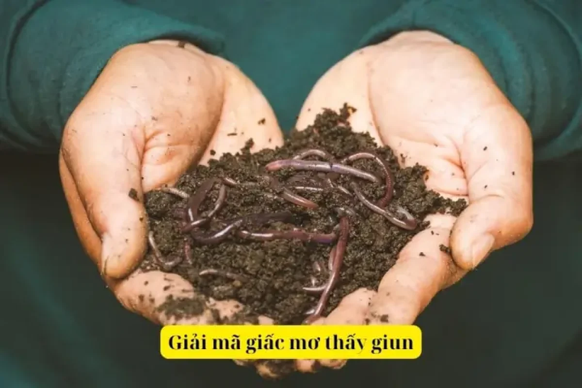 mơ thấy sán đánh con gì - Hình 5