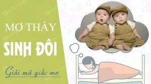 mơ thấy sinh đôi đánh con gì