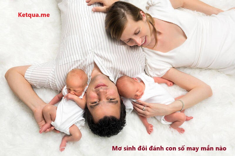 mơ thấy sinh đôi đánh con gì - Hình 3