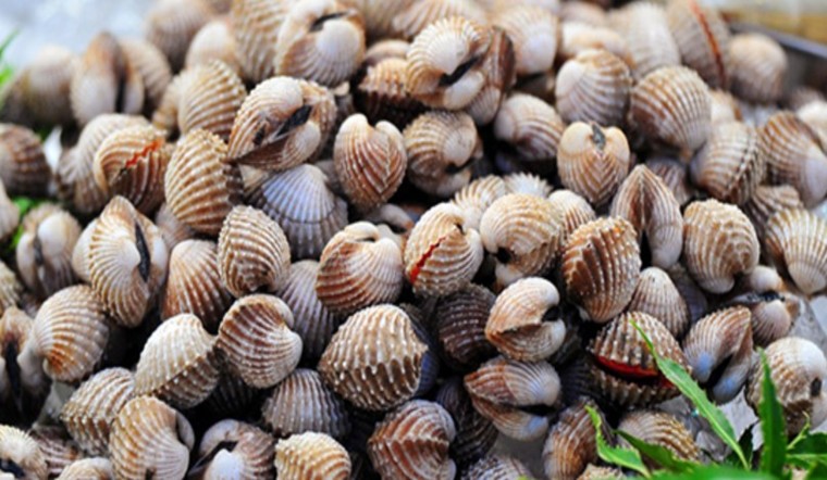 mơ thấy sò điệp đánh con gì - Hình 2