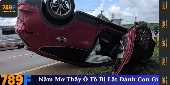 mơ thấy tai nạn ô tô đánh con gì - Hình 5