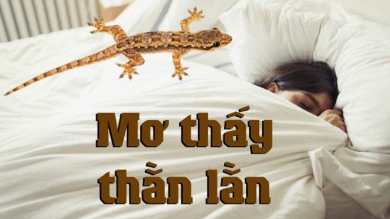 mơ thấy thằn lằn rừng đánh con gì - Hình 3