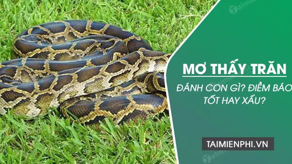 mơ thấy thiên đường đánh con gì - Hình 5
