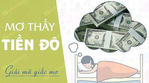 mơ thấy tiền đô đánh con gì - Hình 3