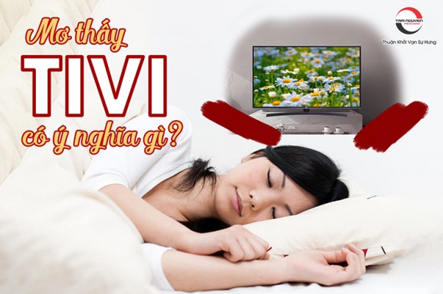 mơ thấy tivi đánh con gì - Hình 1
