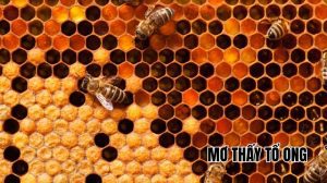 mơ thấy tổ ong đánh con gì