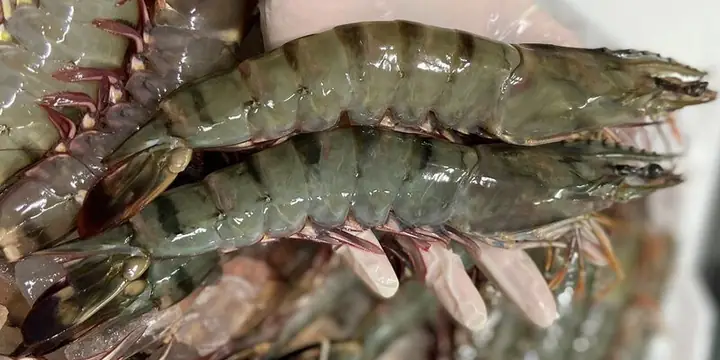 mơ thấy tôm đánh con gì - Hình 4