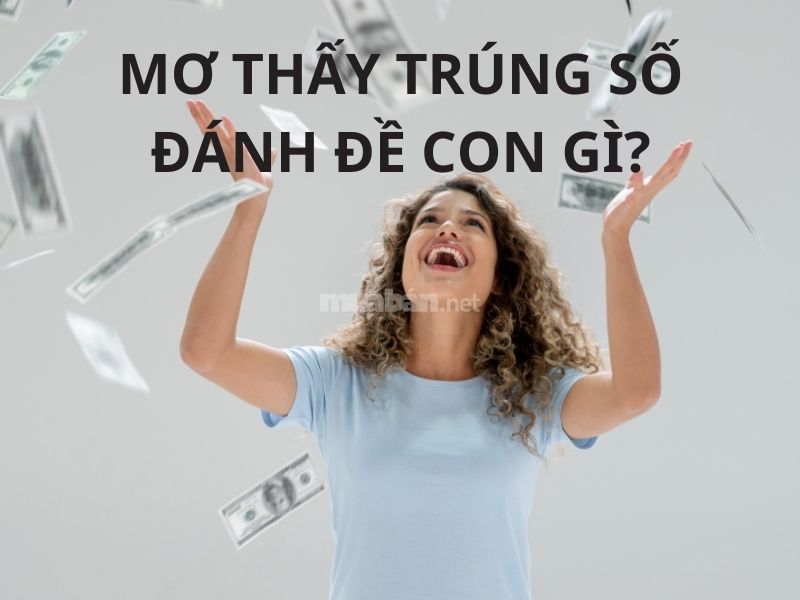 mơ thấy trúng số đánh con gì - Hình 1