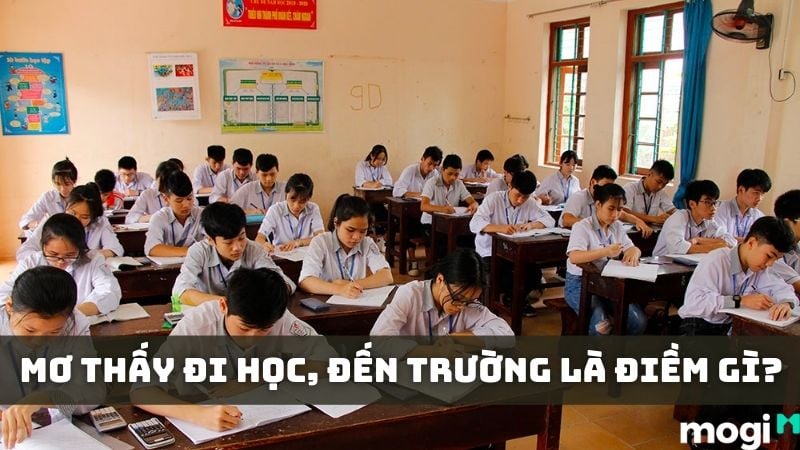mơ thấy trường học đánh con gì - Hình 4