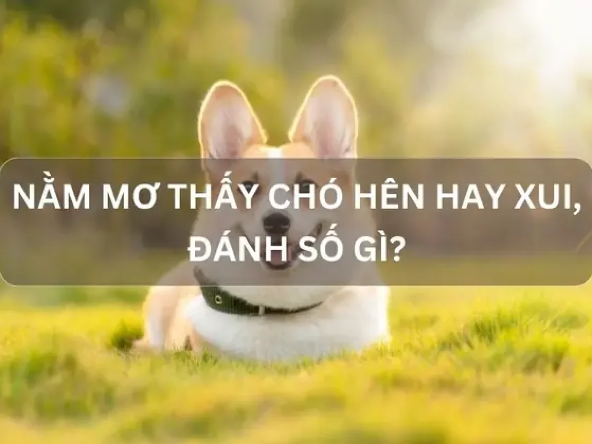 mơ thấy ve chó đánh con gì - Hình 3