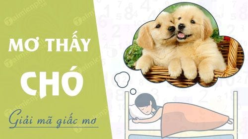mơ thấy ve chó đánh con gì - Hình 5
