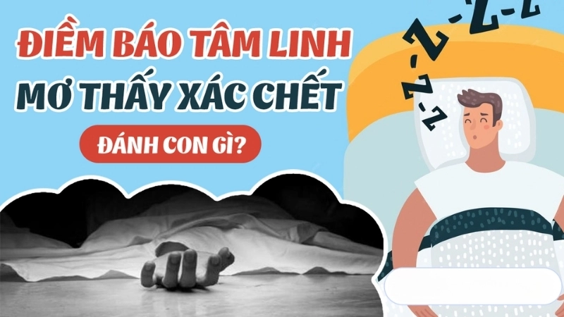 mơ thấy xác chết đánh con gì - Hình 1