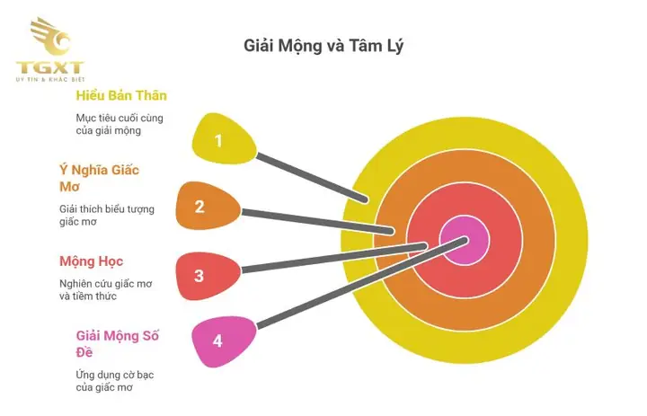 mơ thấy xe khách đánh con gì - Hình 3