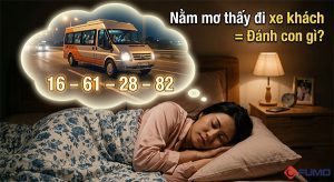 mơ thấy xe khách đánh con gì