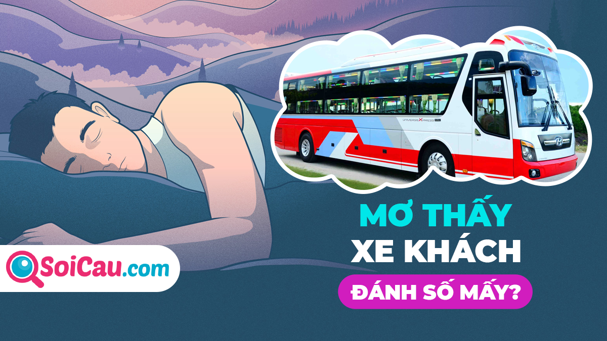 mơ thấy xe khách đánh con gì - Hình 5
