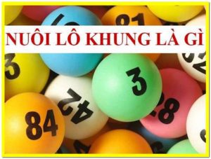 nuôi khung là gì