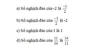 số đảo là gì