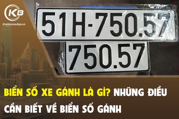 số gánh là gì - Hình 1