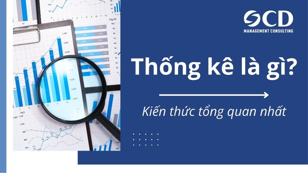 thống kê đề là gì - Hình 2