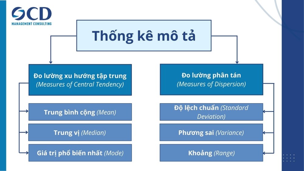 thống kê đề là gì - Hình 1