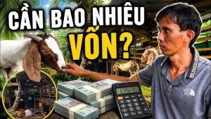 vốn nuôi đề là gì